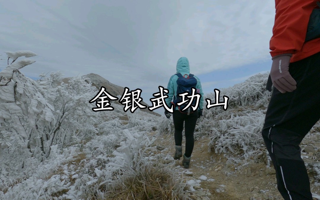 [图]金银武功山——草黄与冰挂共存