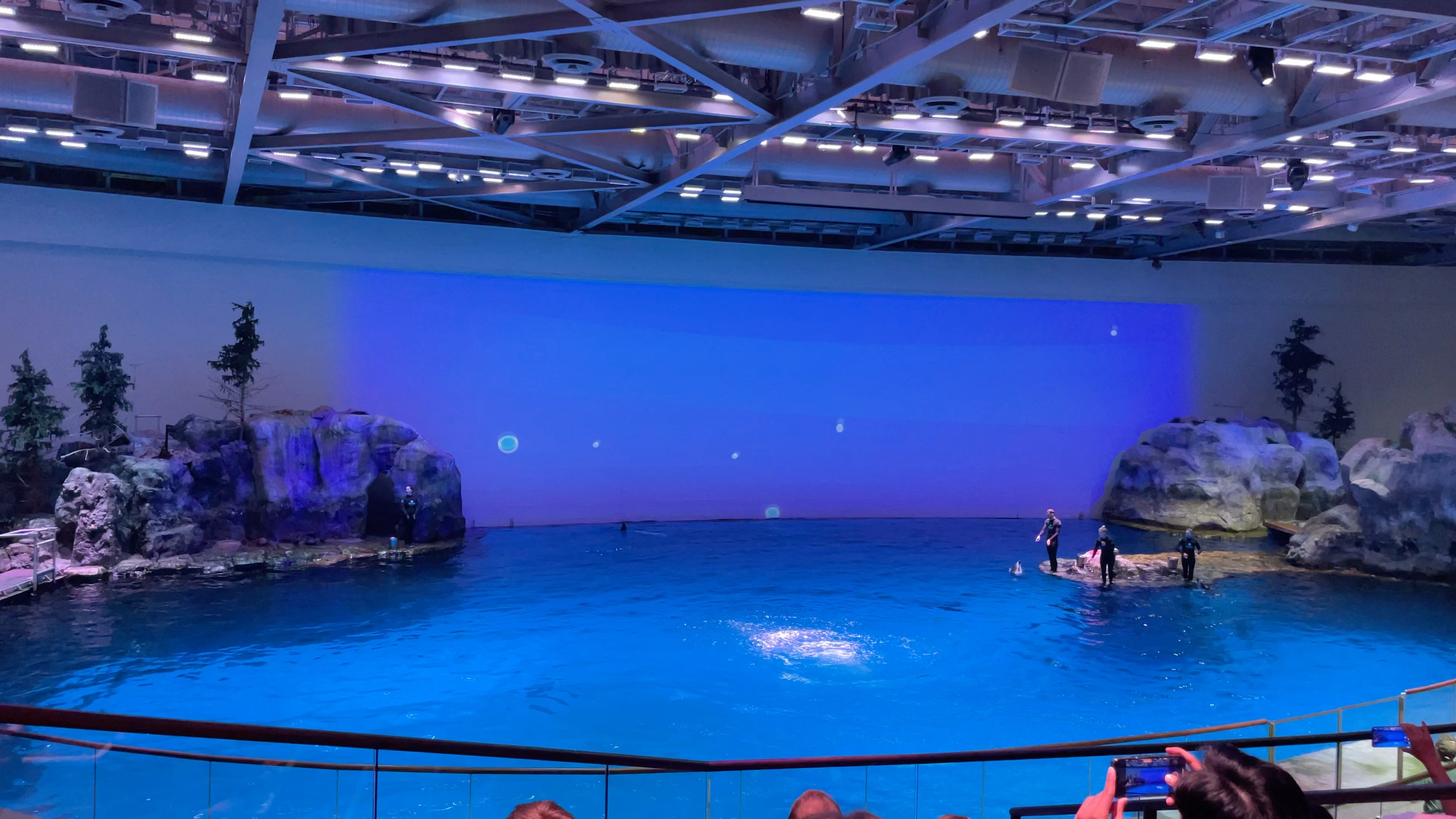 chicago shedd aquarium