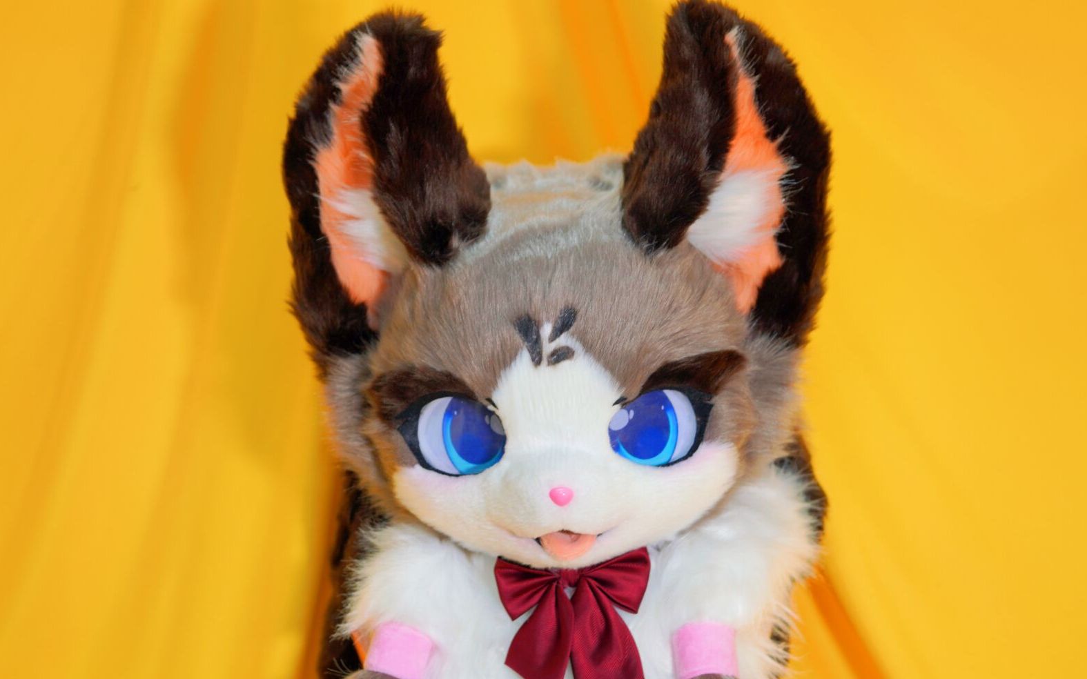 【兽装展示】可爱猫猫!daley制作