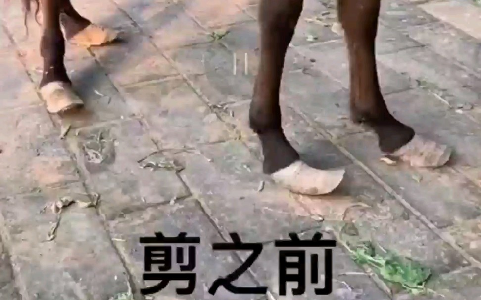 修马脚,原来是这样的,修过以后看起来好爽!