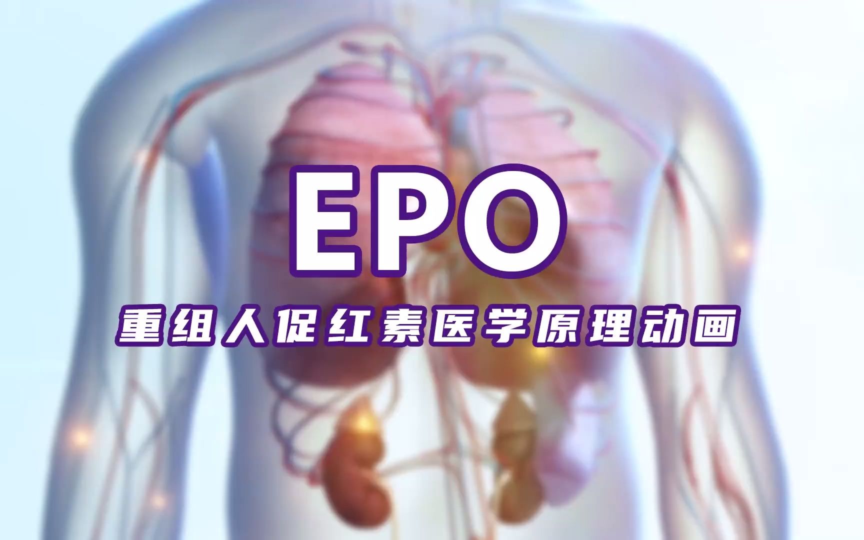 EPO 重组人促红素医学原理动画哔哩哔哩bilibili