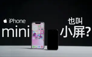 Download Video: 你管iPhone mini叫小屏手机？