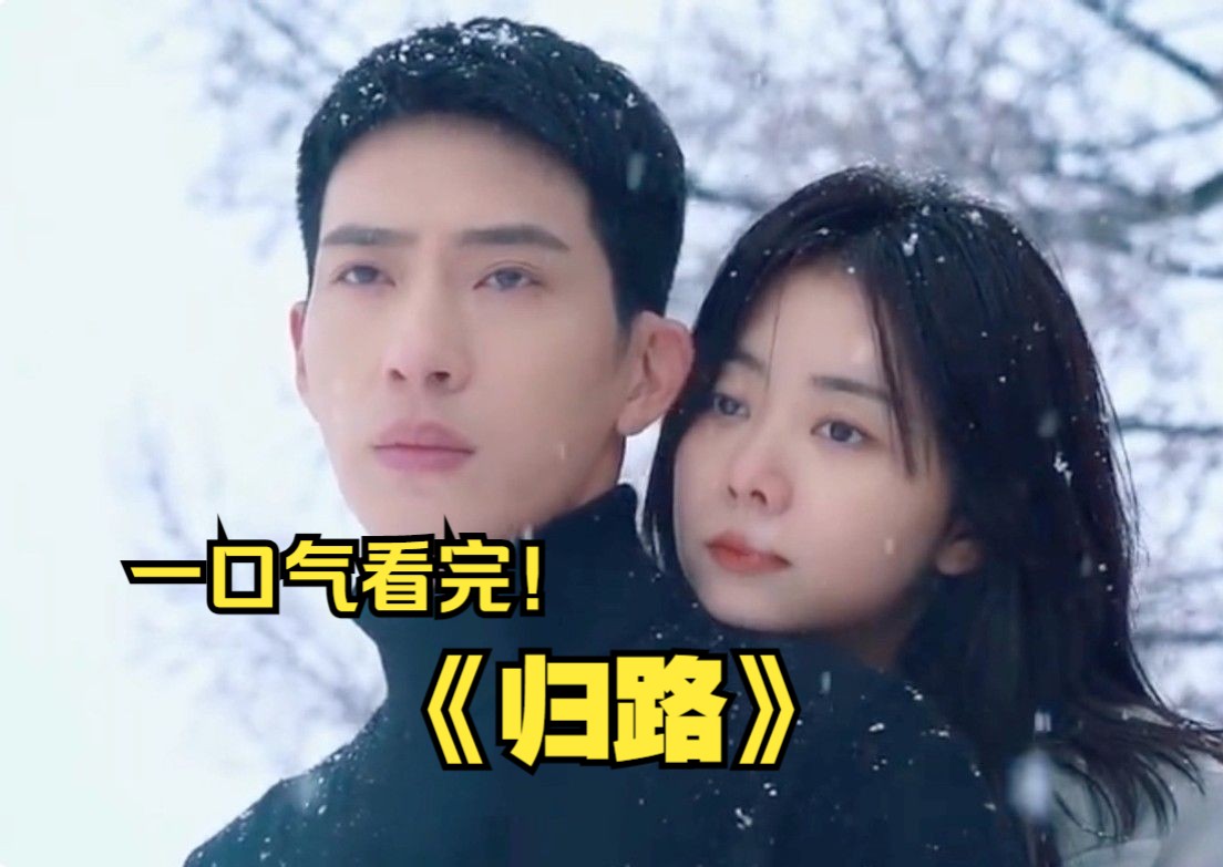 一口气看完《归路》,该剧根据墨宝非宝的同名小说改编.