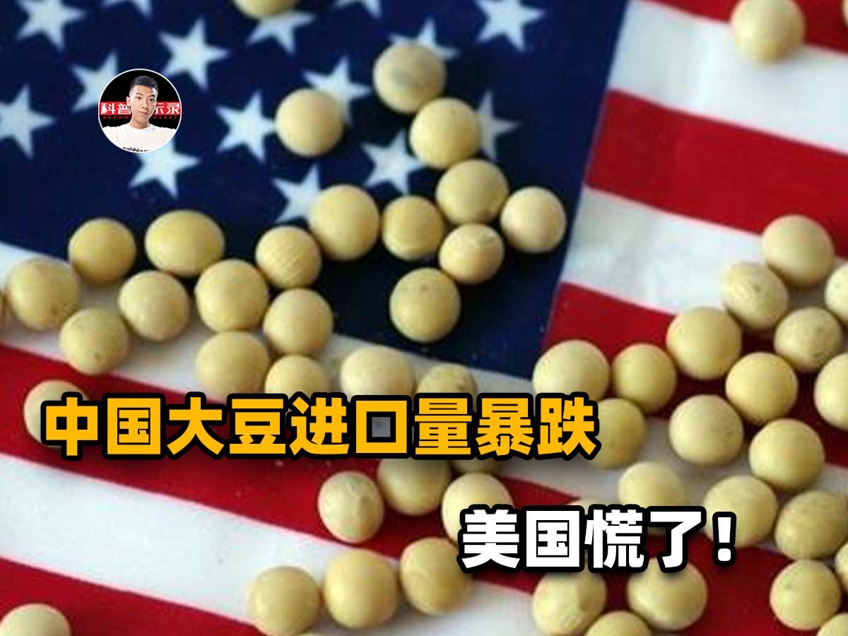 中国停止进口美国大豆图片
