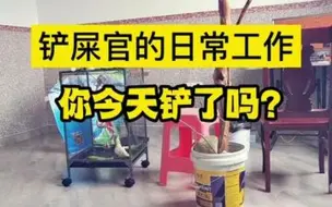 Download Video: 铲屎官的日常工作，你今天做了吗？