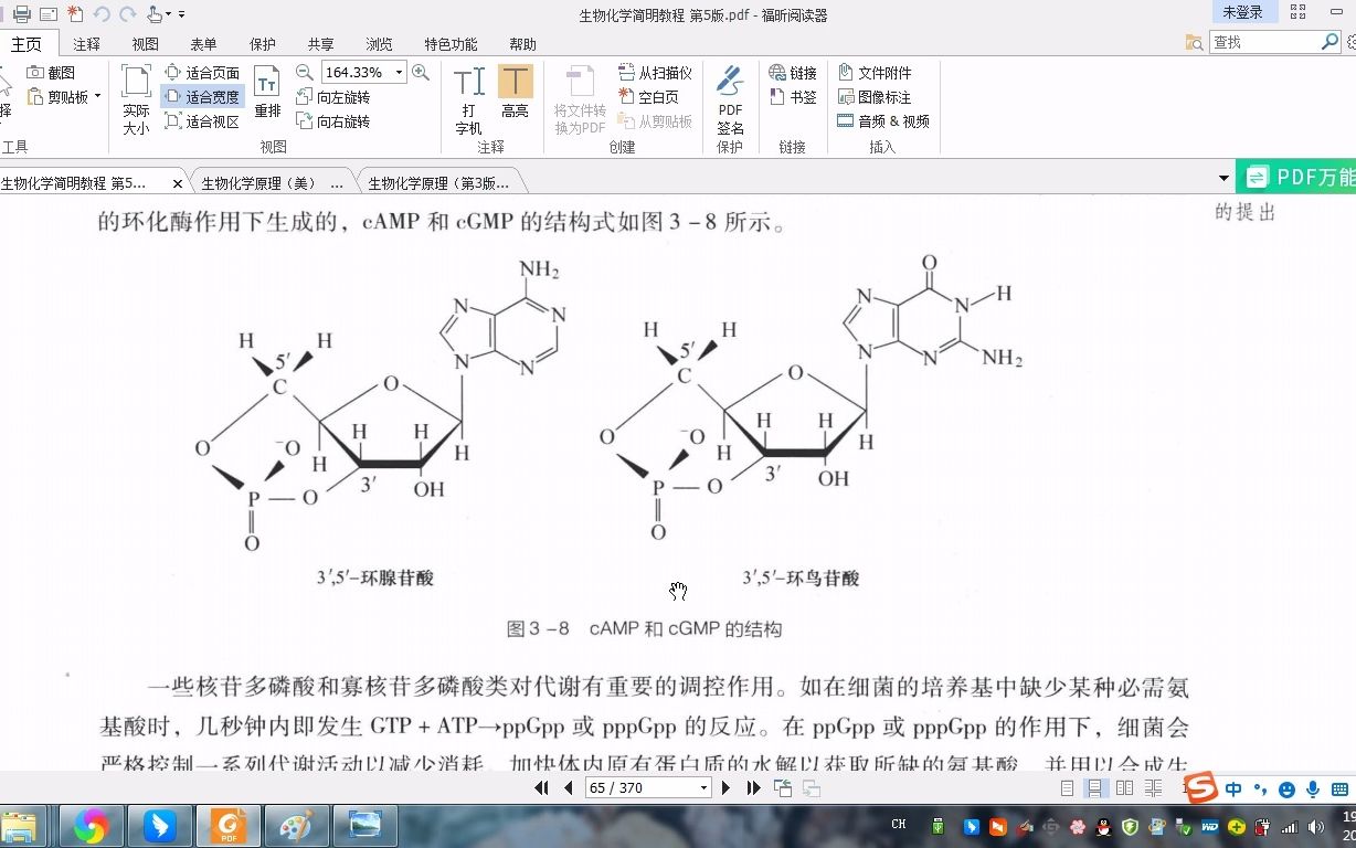 生物化学 第三章 核酸 重难点串讲哔哩哔哩bilibili