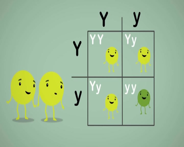 【Genetics】Mendelian genetics and more哔哩哔哩bilibili