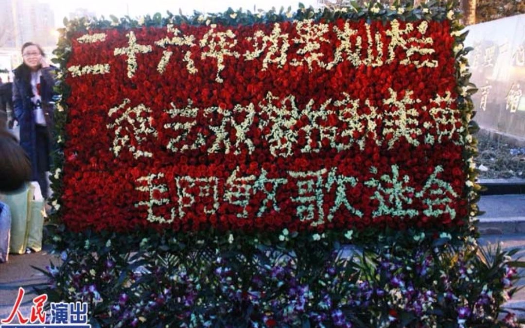 [图]留下芬芳满人间 毛阿敏