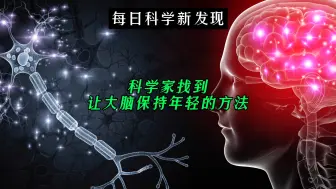 Download Video: 【每日科学新发现】脑科学突破！科学家找到让大脑保持年轻的方法