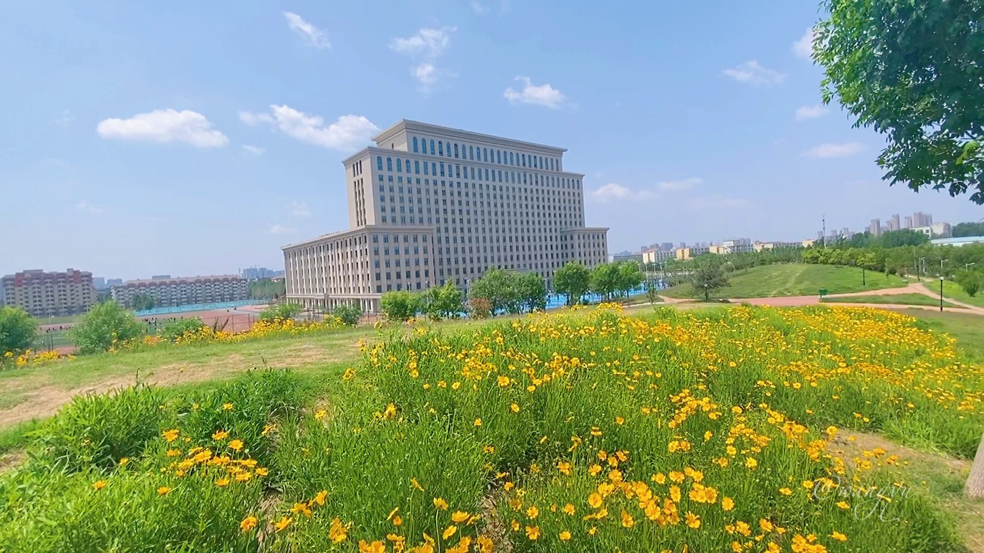 漫画般的河南师范大学