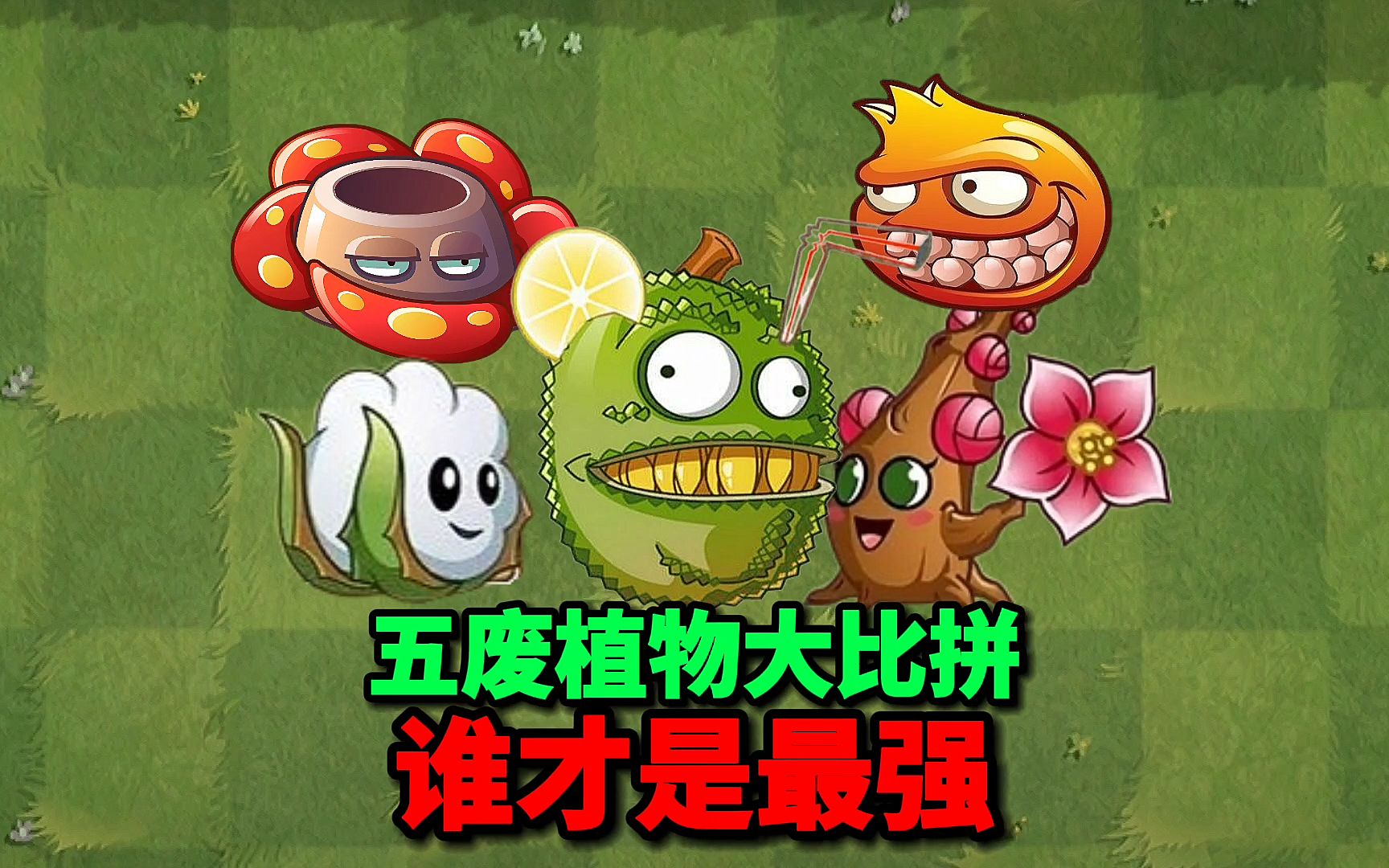 【pvz沙雕配音】五废植物大比拼,谁才是最强的?_植物大战僵尸2