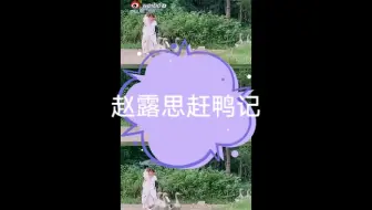 传闻中的陈芊芊赵露思赶鸭记，唯男子与小人难养也花绪