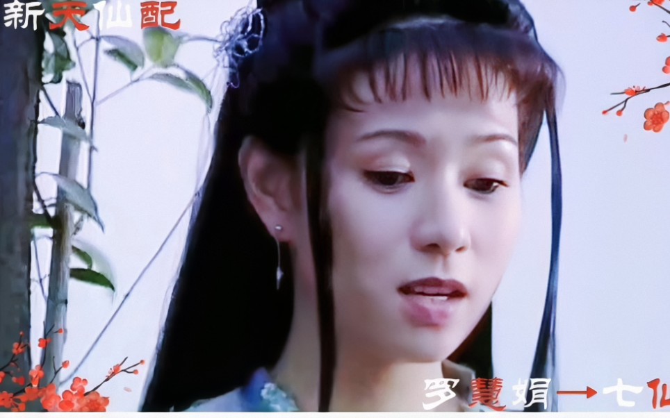 新天仙配1998罗慧娟版图片