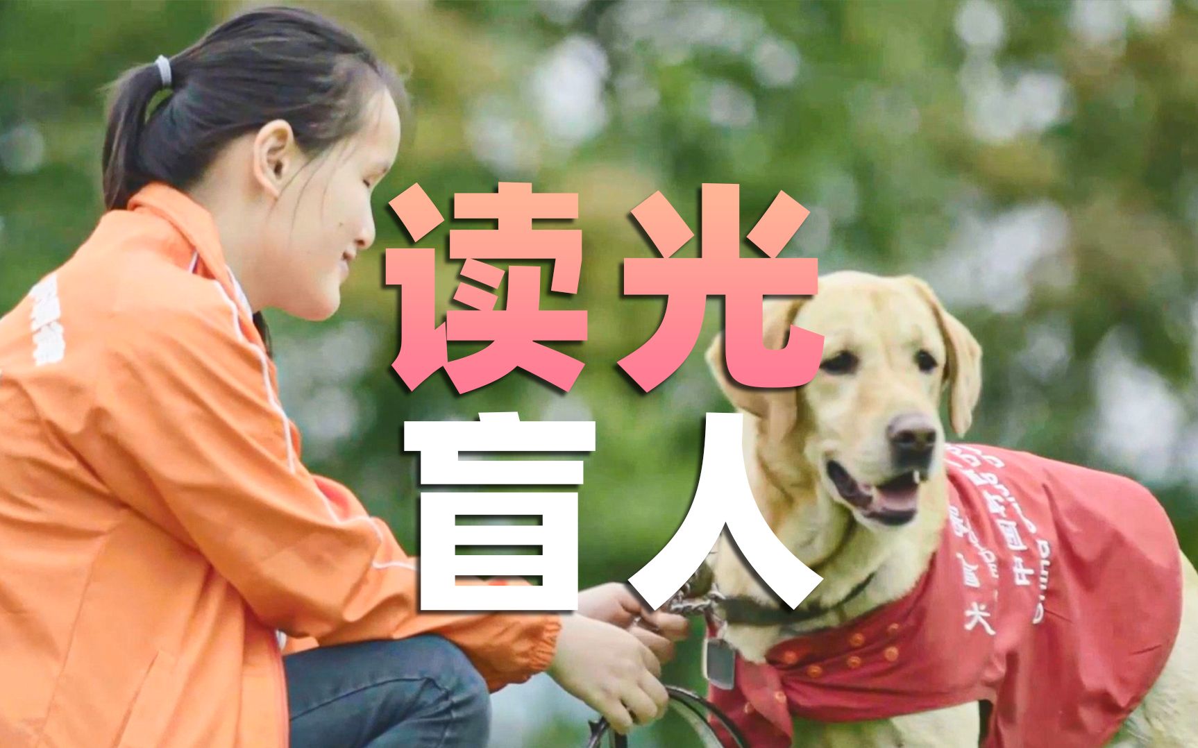 盲人女孩為導盲犬搶百斤狗糧,聽4倍速語音購物