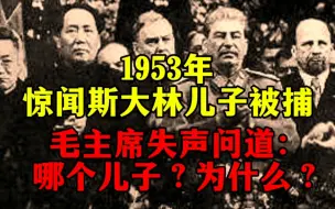 Download Video: 1953年，毛主席惊闻斯大林儿子被捕，失声问道：哪个儿子？为什么？