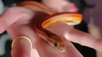 我的新手链好看吗~