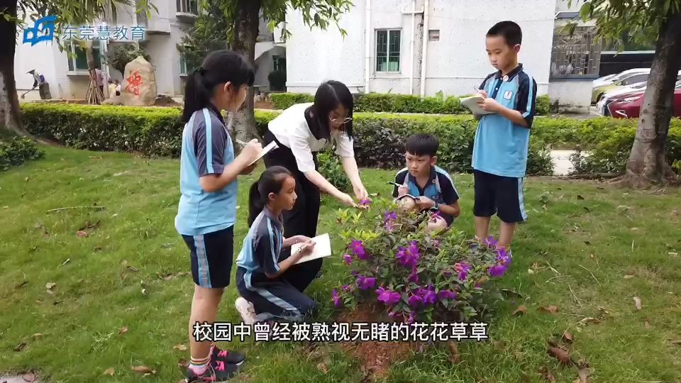 “形色”APP,带你遇见全世界的植物哔哩哔哩bilibili