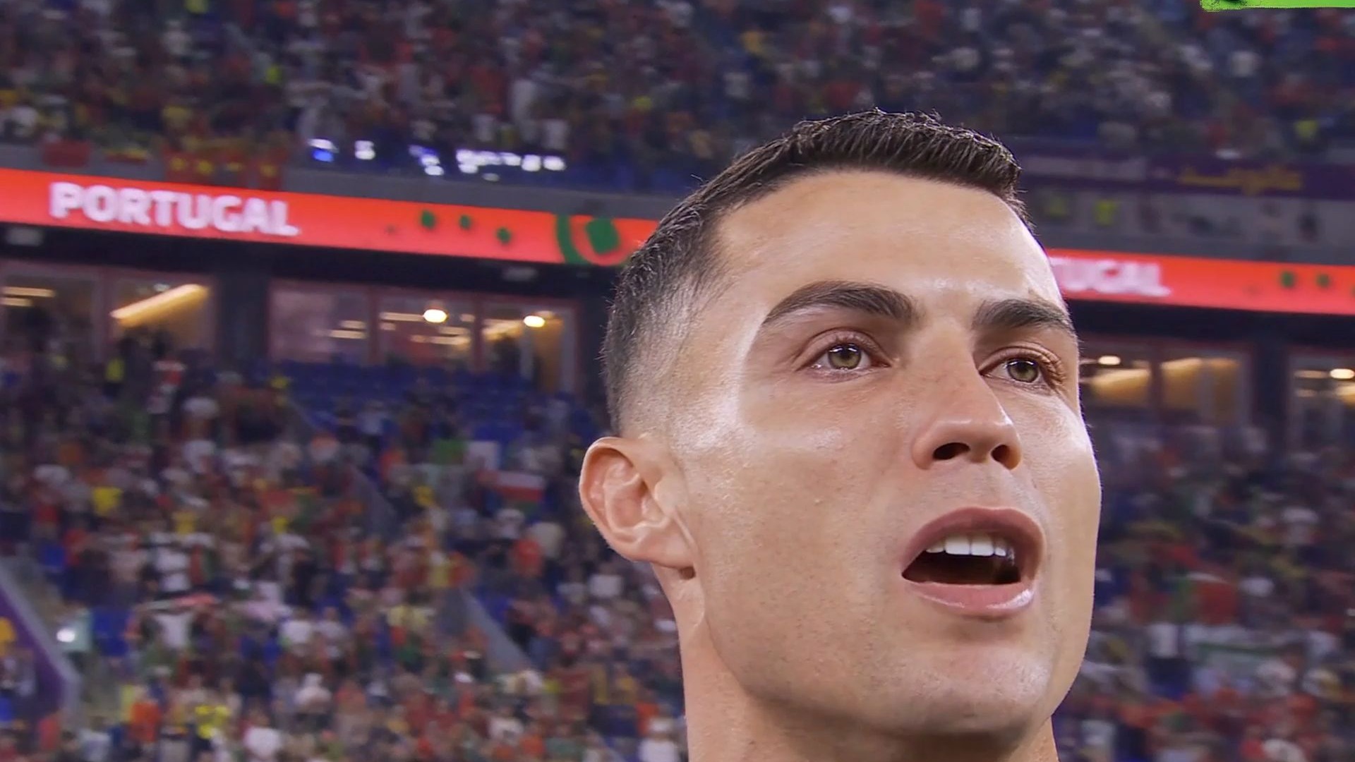 世界杯 罗发型 竞技场上相关图片2