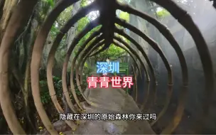 Download Video: 隐藏在深圳的热爱森林你来过吗?就在南山青青世界热带雨林，这里有几百斤的鱼，仿佛其境仙雾一般，晴天来还有双彩虹哦，拍照打卡超级出片#深圳游玩景点推荐