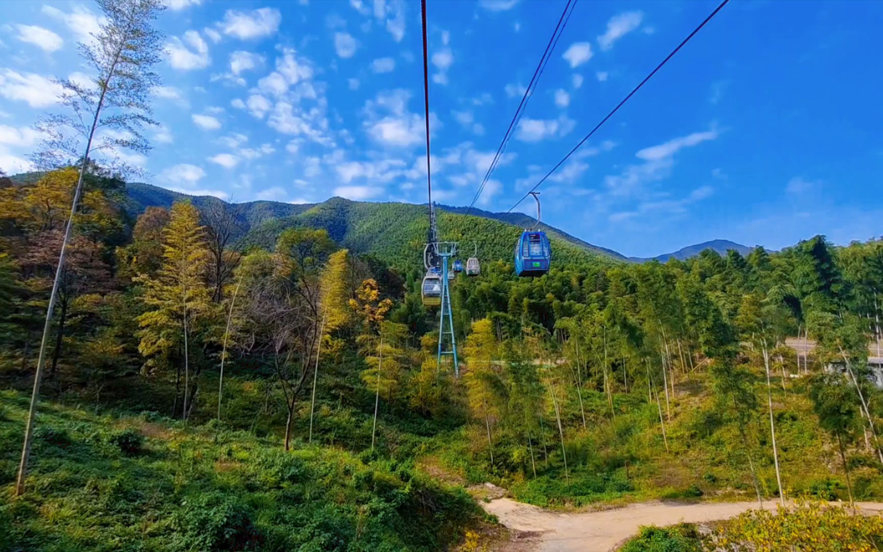 宜兴竹海缆车～在空中赏竹观海
