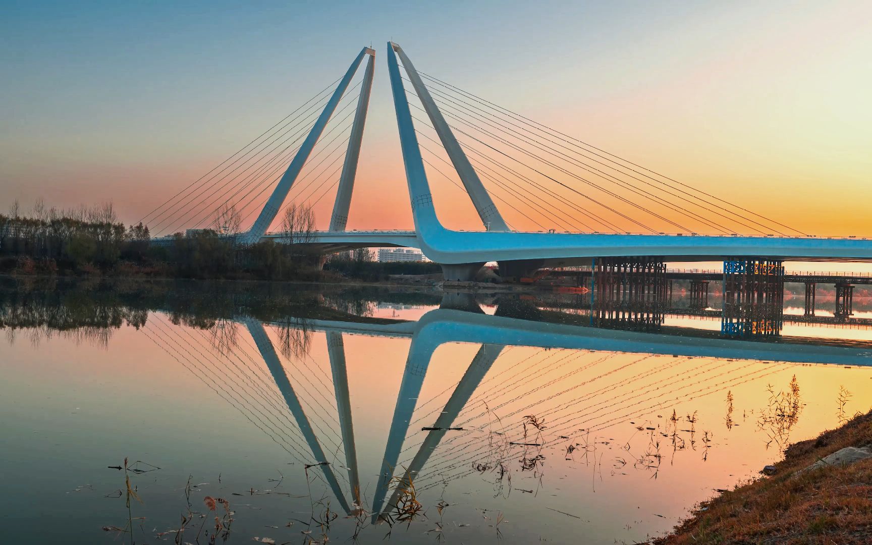 夕阳下咸阳高新大桥