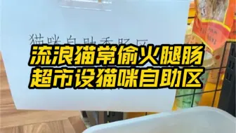近日，重庆。流浪猫经常溜进超市偷火腿肠，暖心店主设立猫咪自助区。流浪猫常偷火腿肠超市设猫咪自助区