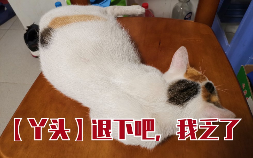【丫头】退 下 吧,我 乏 了