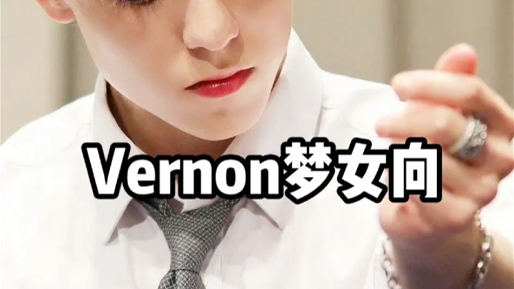 7.Vernon梦女文哔哩哔哩bilibili