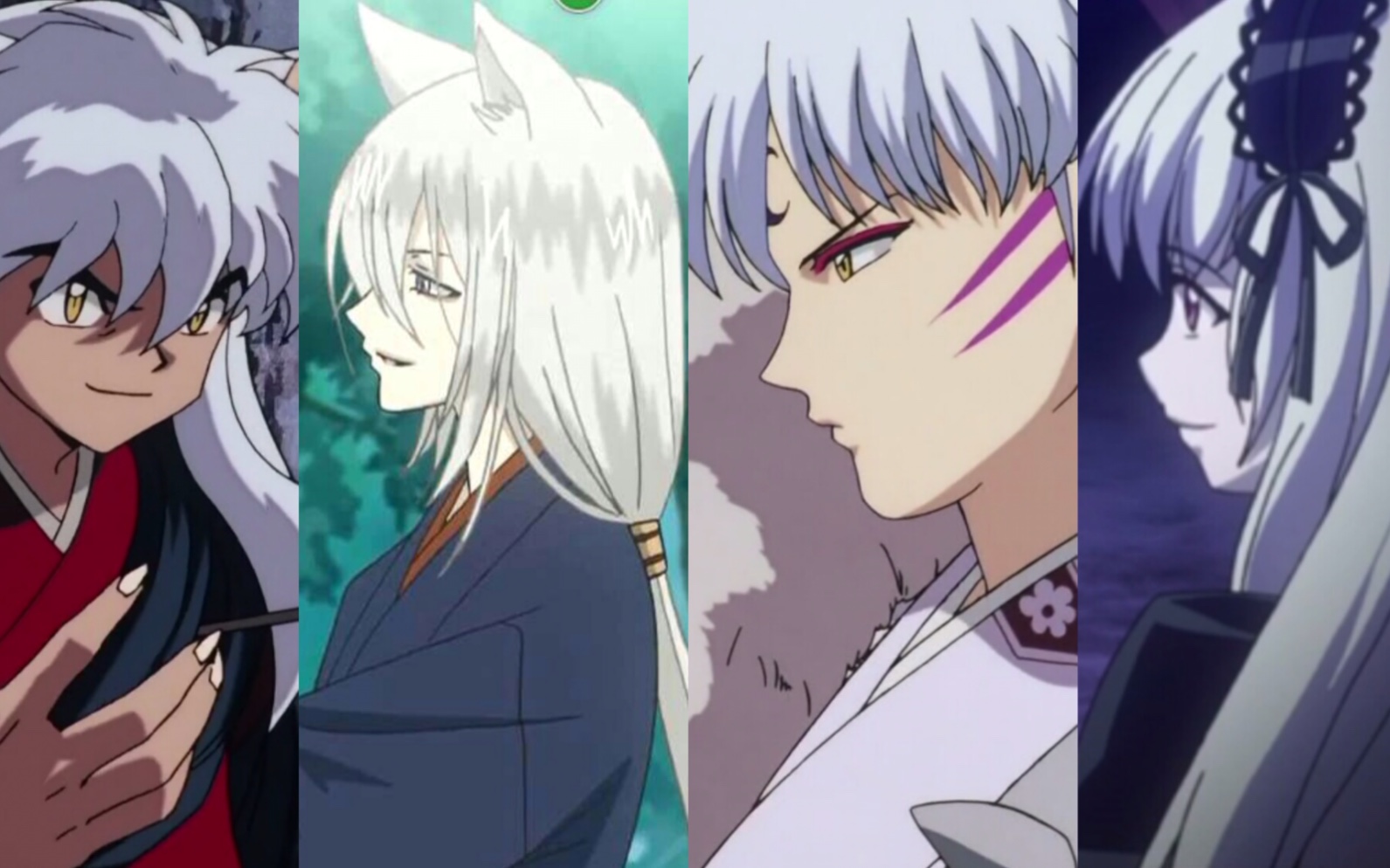 原来我tm是个白毛控!