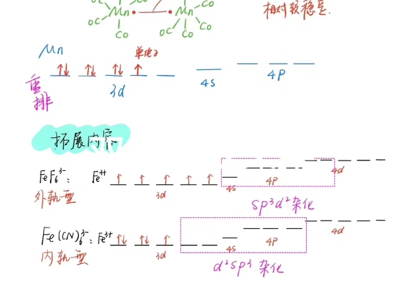 二茂铁中的配位数哔哩哔哩bilibili