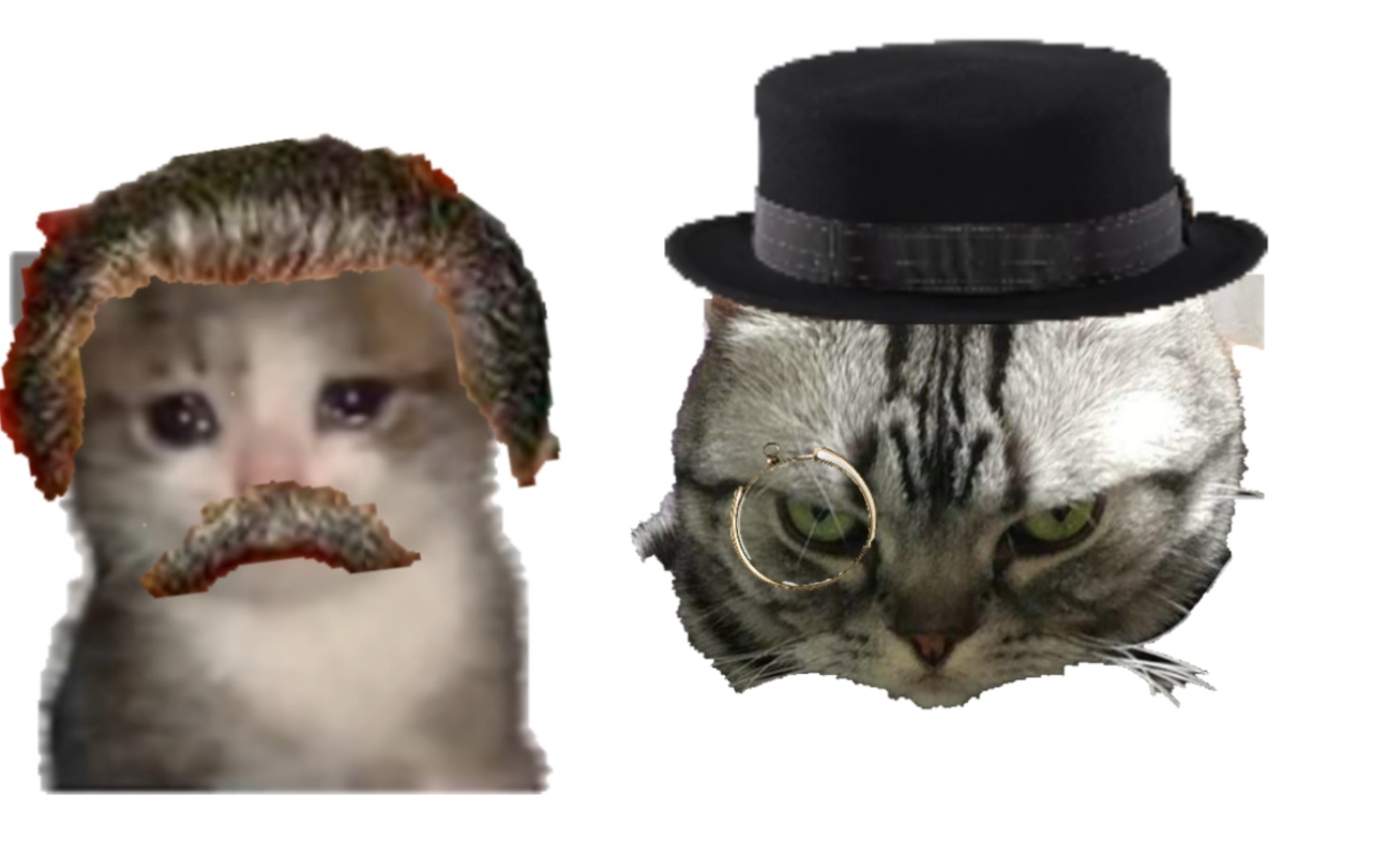 可颂猫,但是斯大林