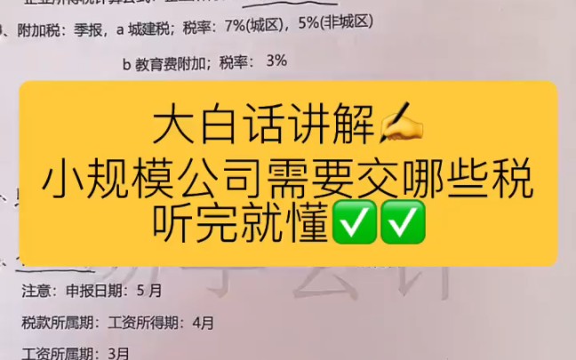 会计实操丨一听就懂的小规模公司需要交哪些税丨零基础学会计哔哩哔哩bilibili