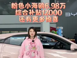 Tải video: 比亚迪海鸥 6.98万综合补贴12000，还有更多惊喜！这个粉色谁能不爱？