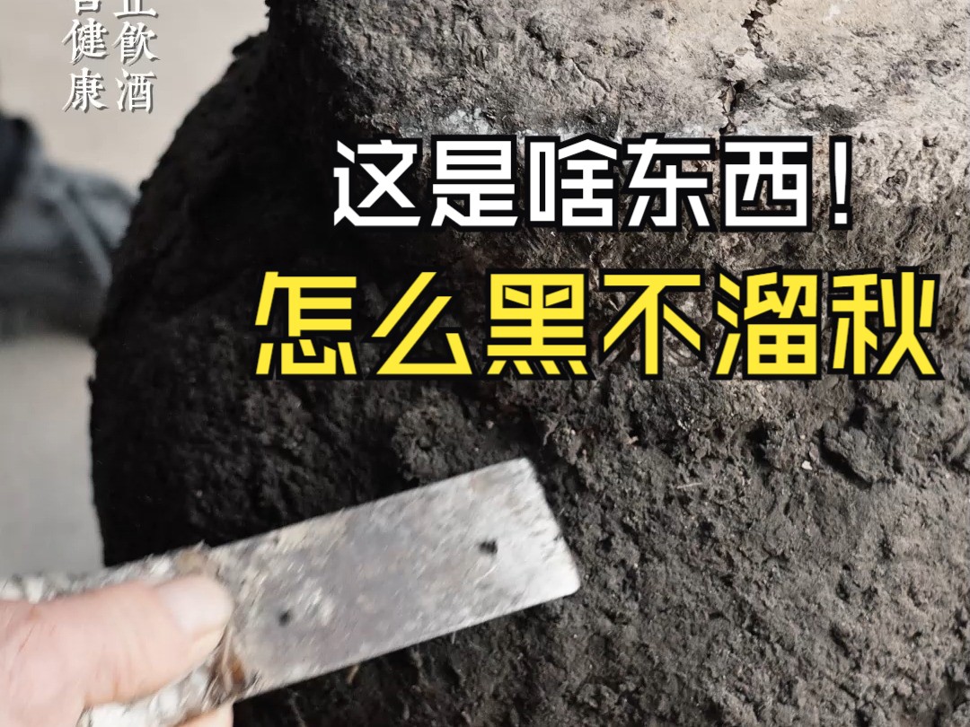 够年份的高度数原浆糟烧白酒,我们绍兴人叫他“小茅台”2007年原浆糟烧白酒开坛!哔哩哔哩bilibili