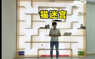 Download Video: 我给猫咪们做了个立体猫迷宫