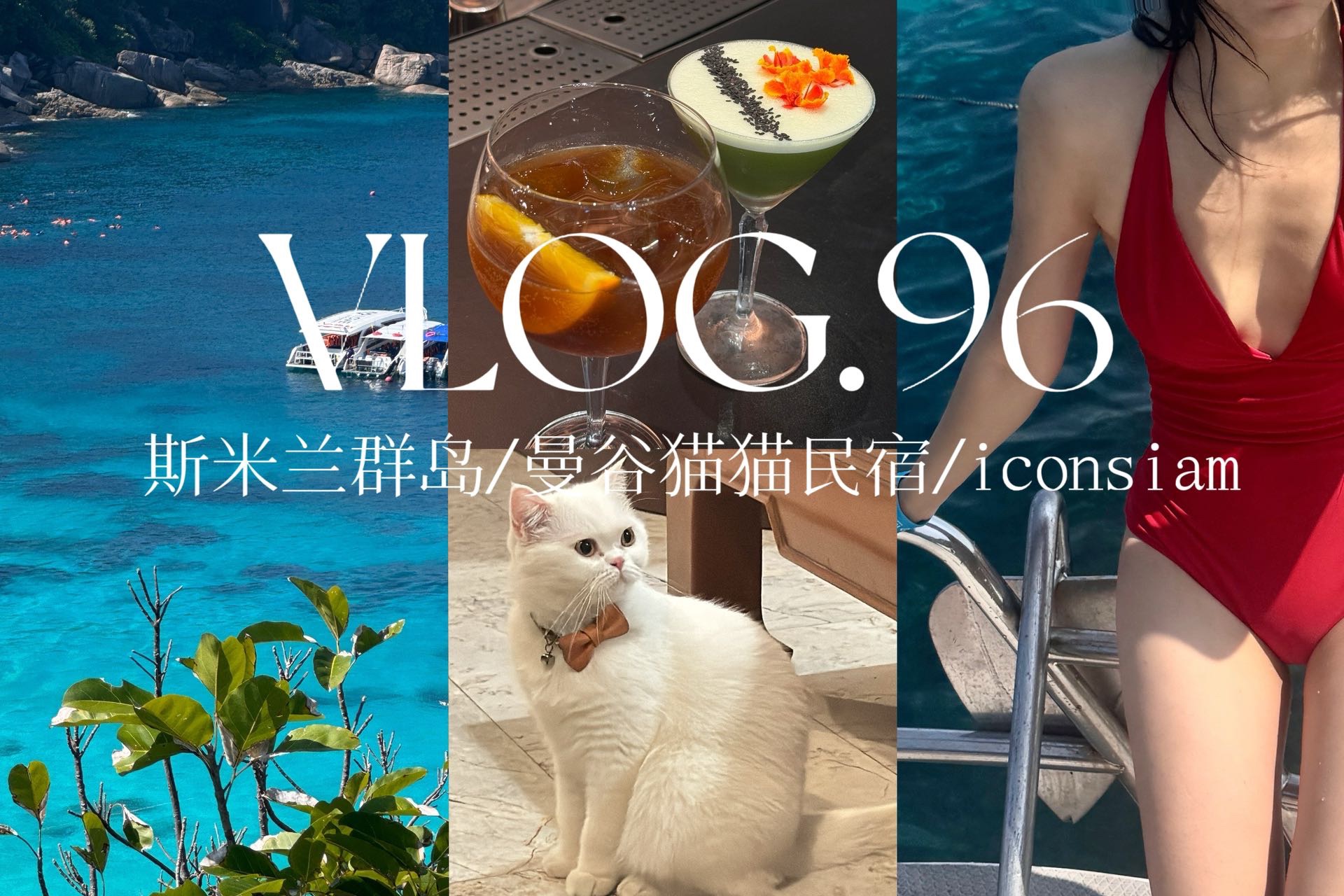 VLOG96 | 小长假in泰国𐟇𙰟‡�t.3 / 斯米兰群岛 / 曼谷猫猫民宿 / iconsiam星巴克调酒哔哩哔哩bilibili