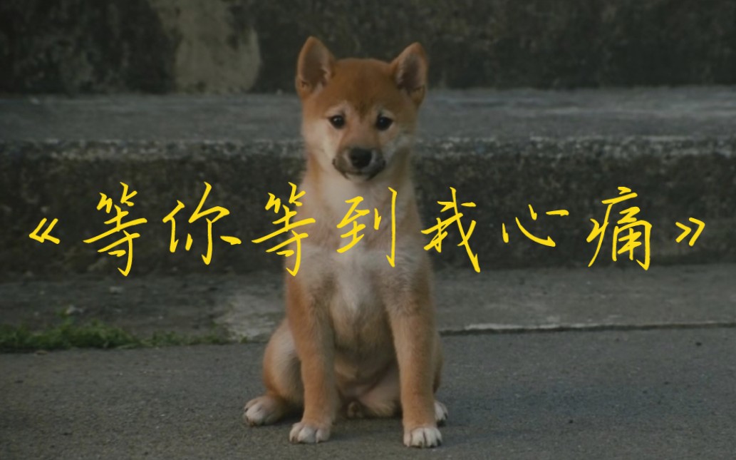 清唱《等你等到我心痛》-张学友