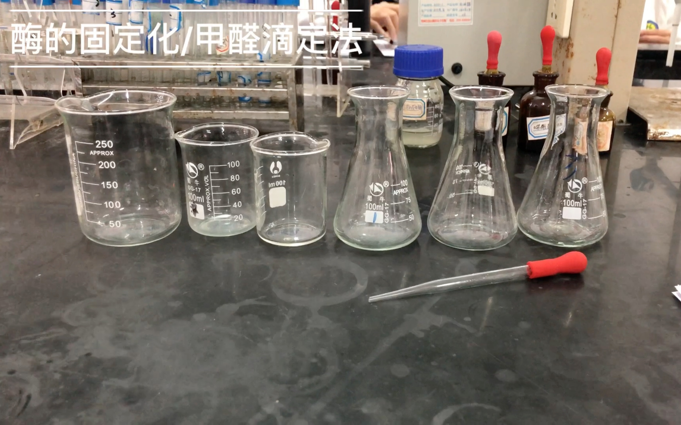 生物化学实验之酶的固定化及甲醛滴定法测定对酶活性的影响哔哩哔哩bilibili