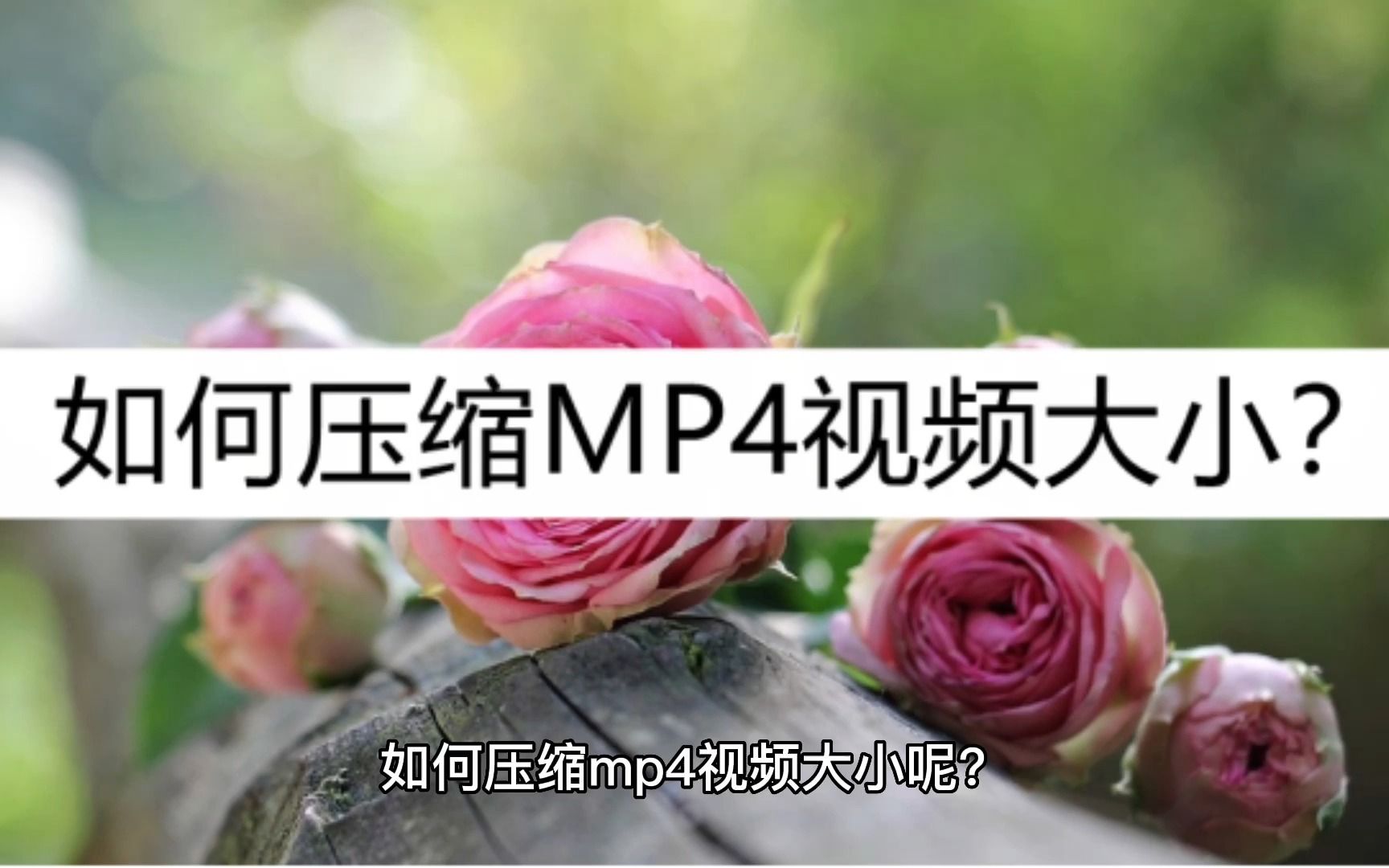 教你如何压缩MP4视频大小?试试这样压缩哔哩哔哩bilibili