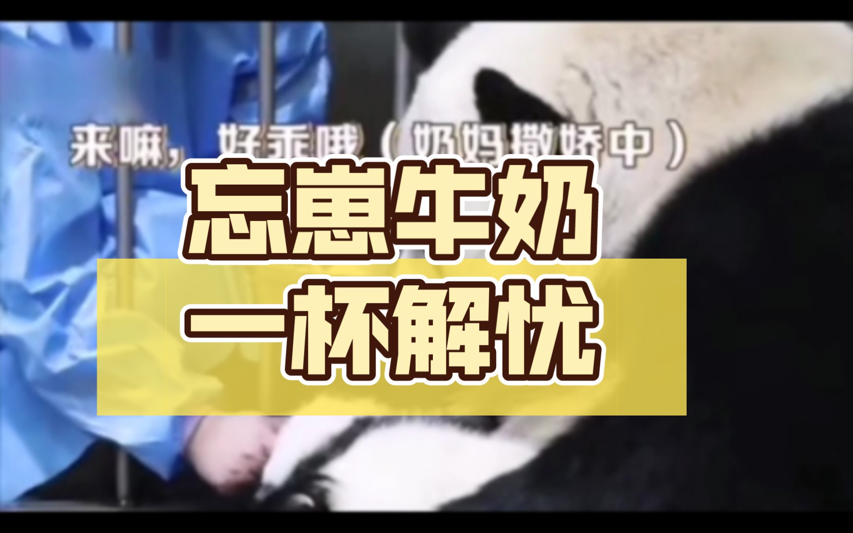 忘崽牛奶,解决你带孩儿烦恼,你不想来一杯么?