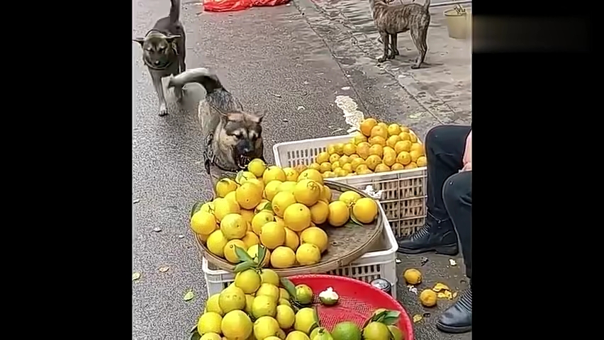 [图]没有一个动作是多余的。