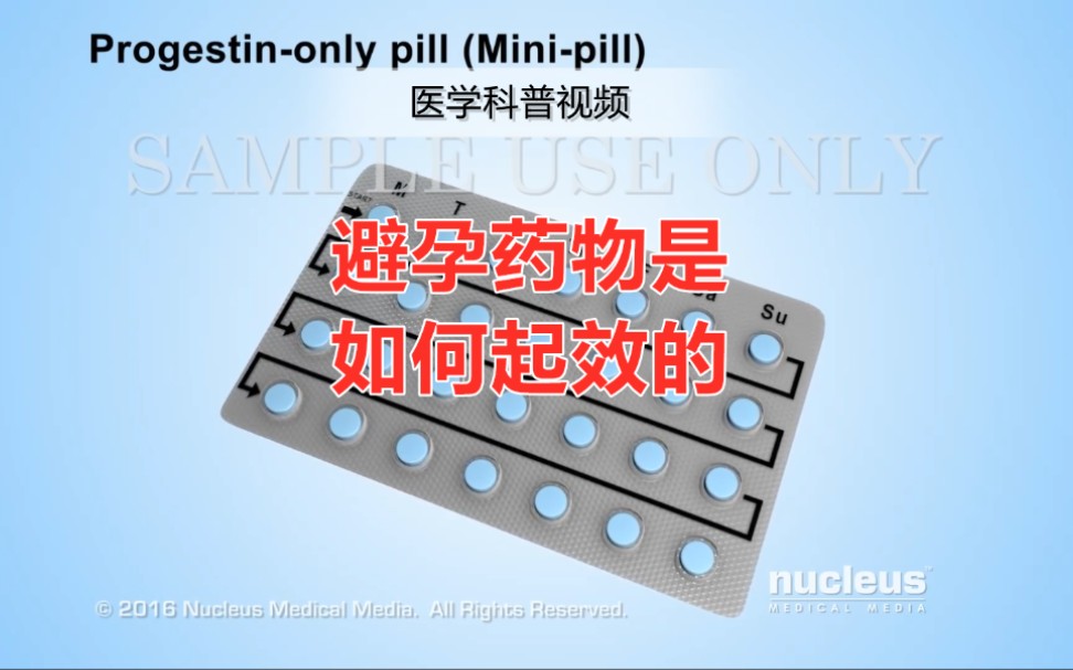 【医学科普视频】:避孕药起效原理哔哩哔哩bilibili