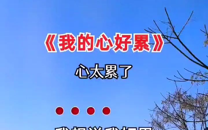 听一遍就忘不了的歌 我的心好累