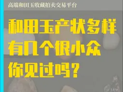 Descargar video: 和田玉产状多种多样，你见过几种？