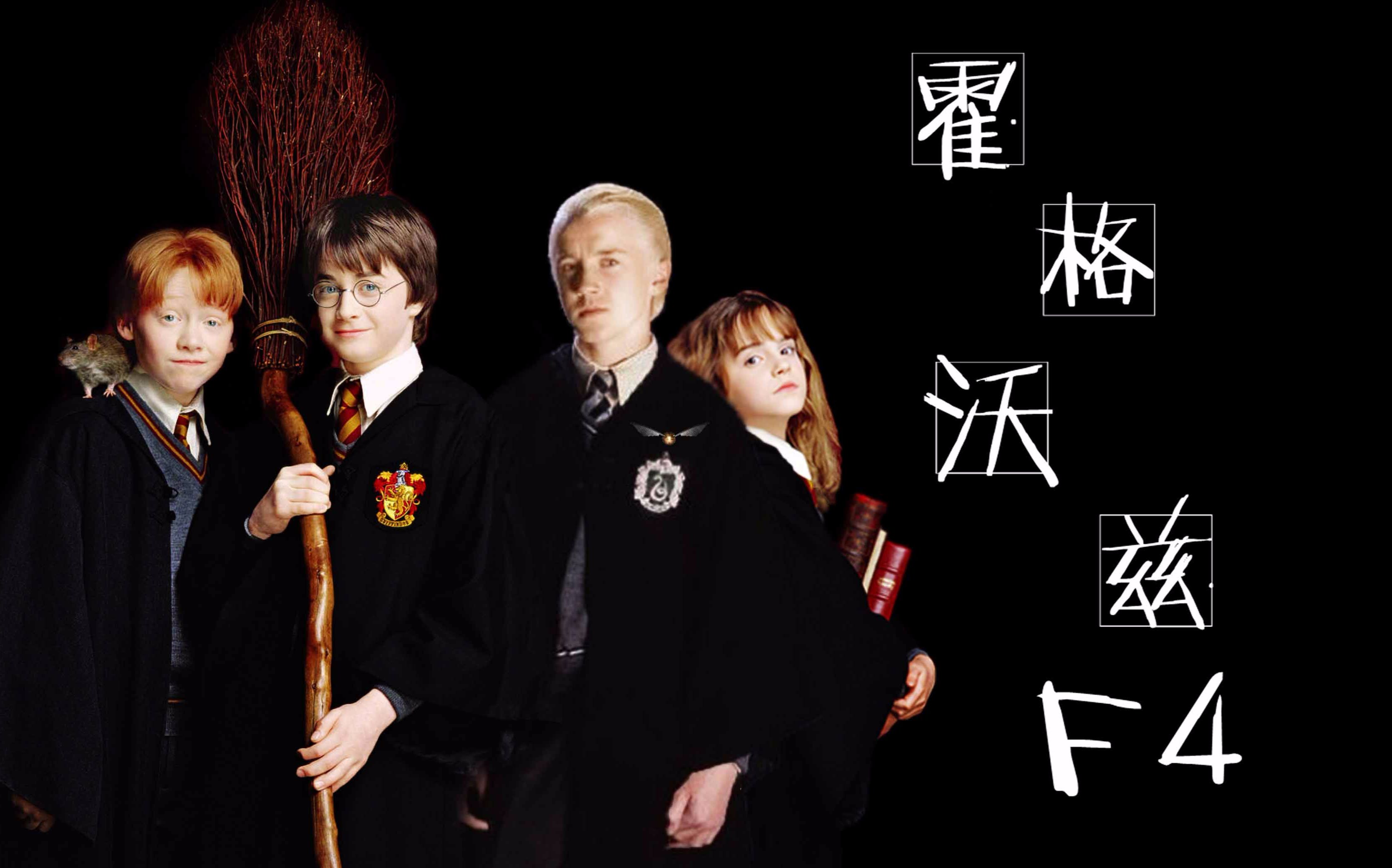 【哈利波特】【第二弹】迷人的霍格沃兹f4与迷之bgm德哈德赫罗哈向