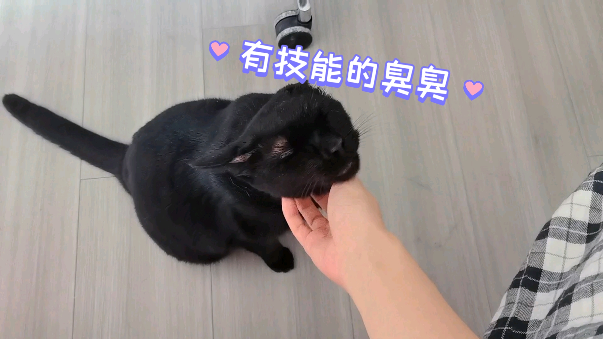 臭臭最优秀的技能哔哩哔哩bilibili