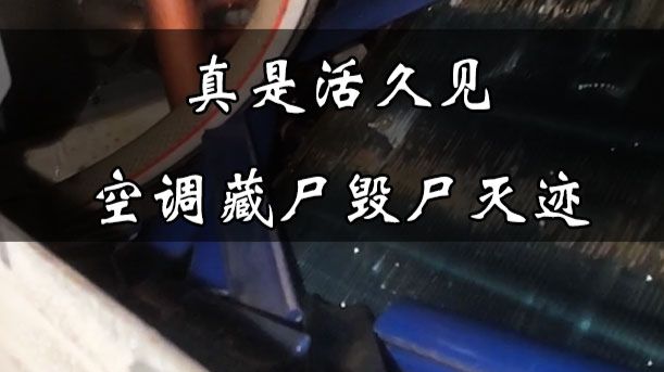 真是活久见，竟然有人这么干？