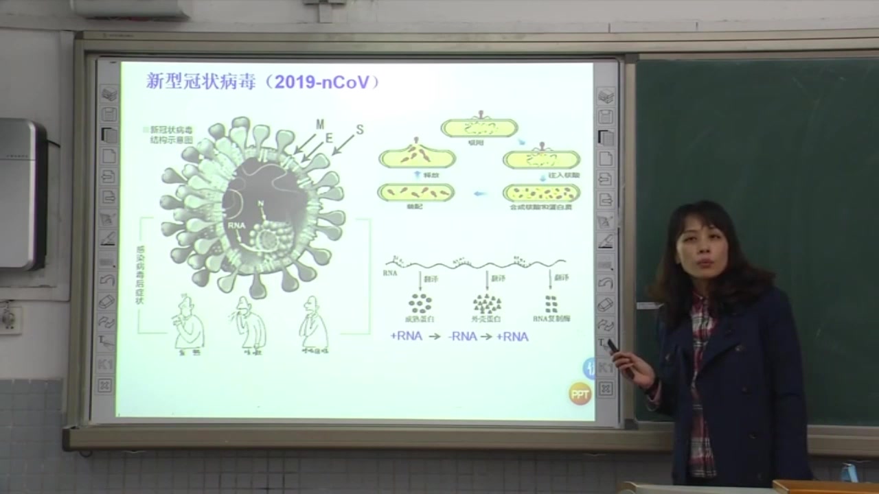 高中生物选修一生物(领知识点课件习题 看我动态) 视频合集 人教版 部编版统编版 高二生物选修1生物哔哩哔哩bilibili