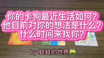 【蛙蛙的世界】你朝思暮想的卡狗近况?目前对你的想法?什么时间来找你?(分手断联/暧昧停滞/离婚复合)timeless