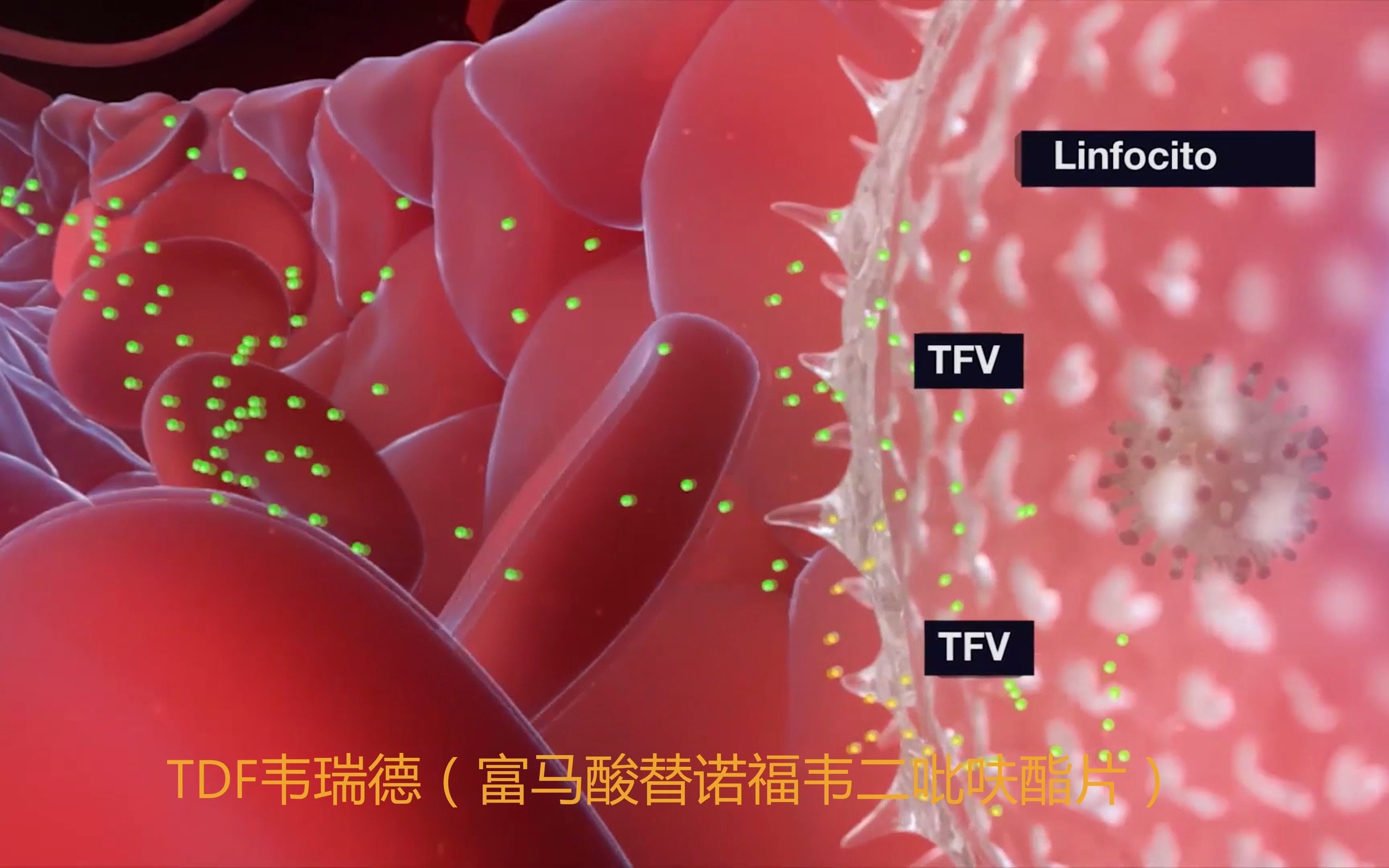 吉利德研发史上最强乙肝药“韦立得”与“韦瑞德”的药理作用机制对比哔哩哔哩bilibili